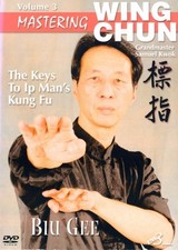 Mastering Wing Chun Vol.3