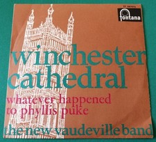 THE NEW VAUDEVILLE BAND -