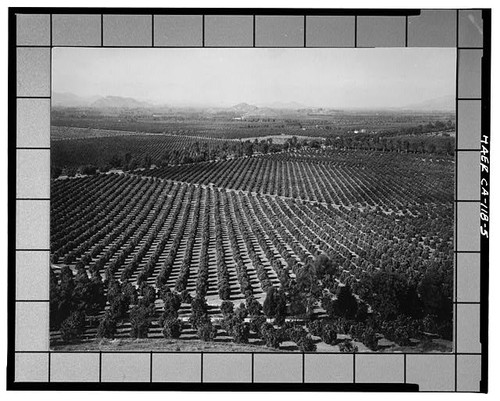 Riverside california 1900s - riverside,