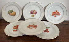 Serie di 6 vecchi piatti