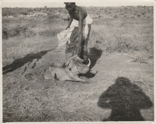 Somalia italiana giumbo - somalia,