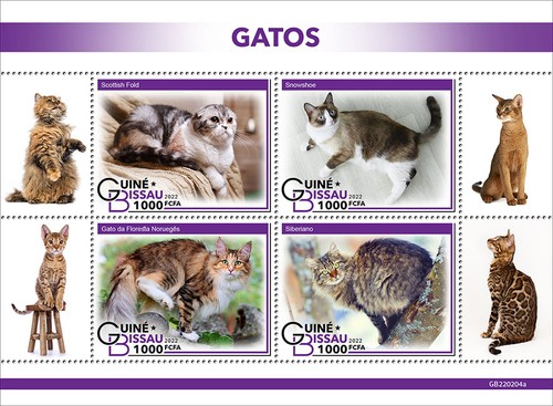 Cats