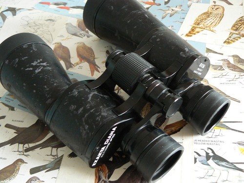 Exakta diana 8x56 - exakta, binocolo