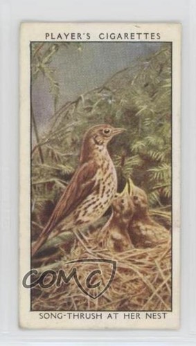 1932 player wild birds - 1932,