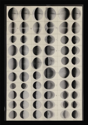 Poster arte parete - poster,
