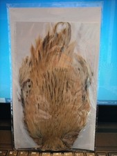 Collo Di Gallo Ginger