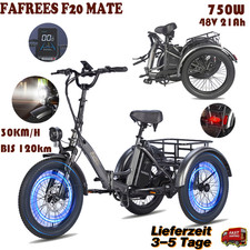 FAFREES F20 MATE 48V 21Ah 750