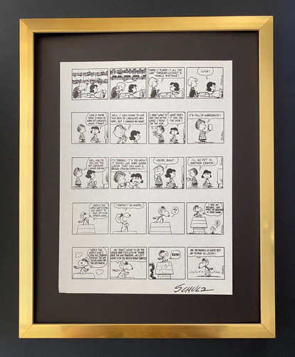 Charles schulz cartone - charles, +