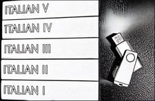 PimsLr Language Approach -