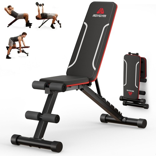 Roygym panca palestra - roygym,