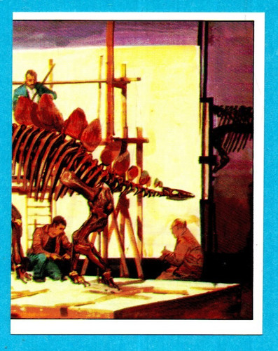 DINOSAURS/ANIMALI