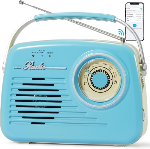 Bingxue radio portatile fm - bingxue,