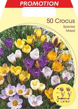BULBI AUTUNNALI CROCUS SPECIES MIX CONFEZIONE DA 50 BULBI BULBS BULBES