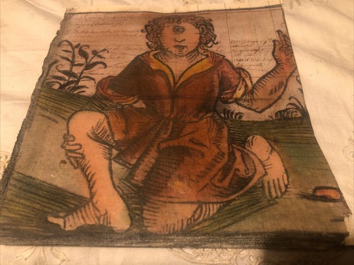 Antico manoscritto illustrato - antico,