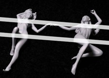 Kit modellino in resina 1/35 2