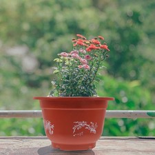  10 Pcs Pentole Piccole