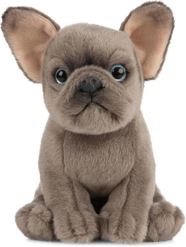 Cucciolo bulldog francese - cucciolo,