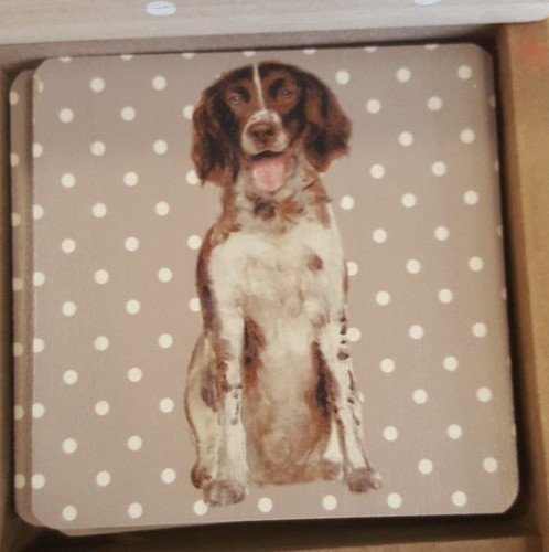 Regalo amanti dei cani
