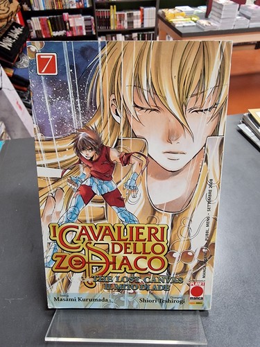 Cavalieri dello zodiaco - zodiaco,