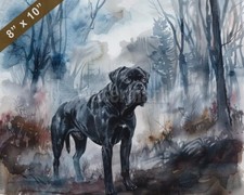 Quadro acquerello Cane Corso