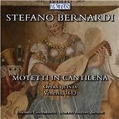 Bernardi ensemble - /,