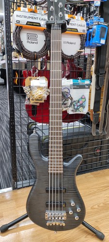 Warwick streamer stage basso - streamer, i