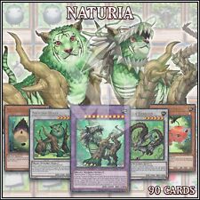 NATURIA DECK 90 | Esterno