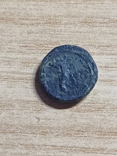 Egitto cleopatra vii - egitto,