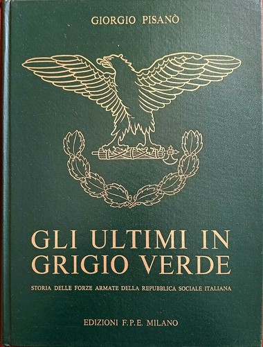 Gli ultimi grigio verde - gli,