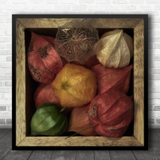 Macro Box Still Life Flowers