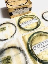 FIAT 1100 D. Segmenti Fasce