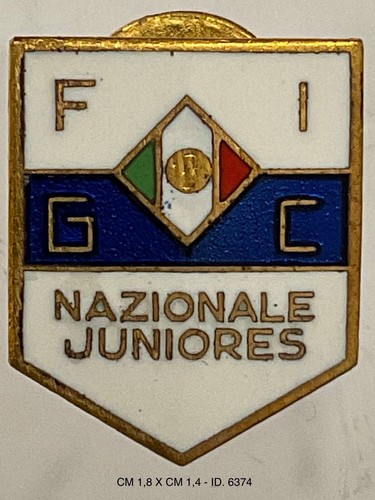 Federazione italiana giuoco - federazione,