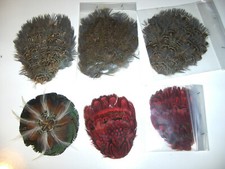 LOTTO 6 PZ APPLICAZIONE PATCH