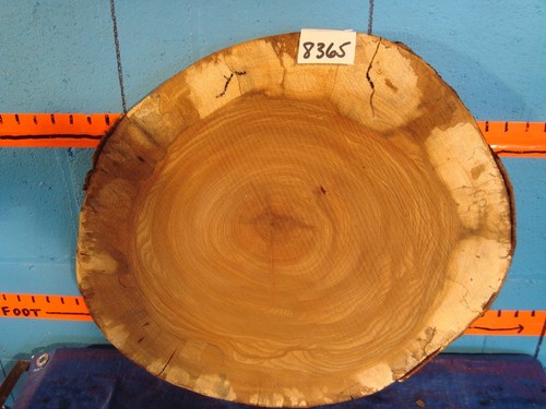 8365 8 spessore - 5/8", fetta