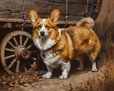 Corgi gallese Pembroke stampa