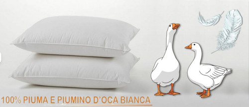 Homescapes coppia cuscini - homescapes,