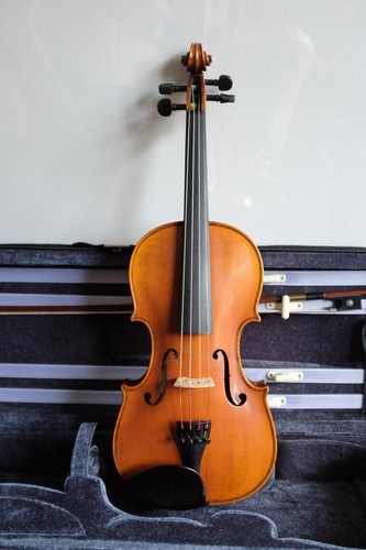 Abito per violino hidersine - abito,