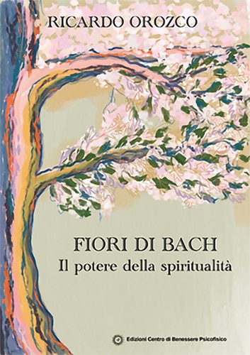 Potere della spiritualità - il,