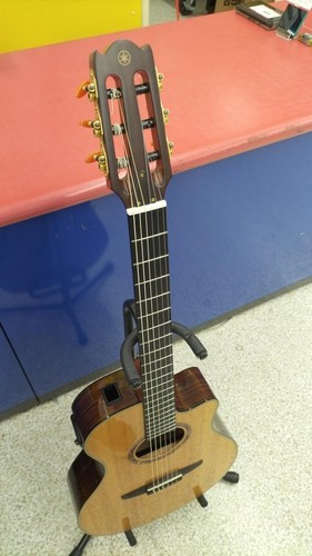 Chitarra acustica elettrica