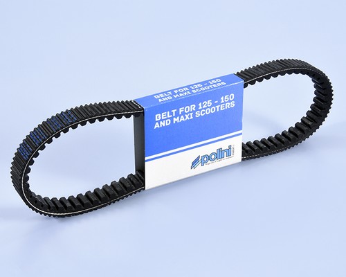 248 133 cinghia variatore - 248.133,
