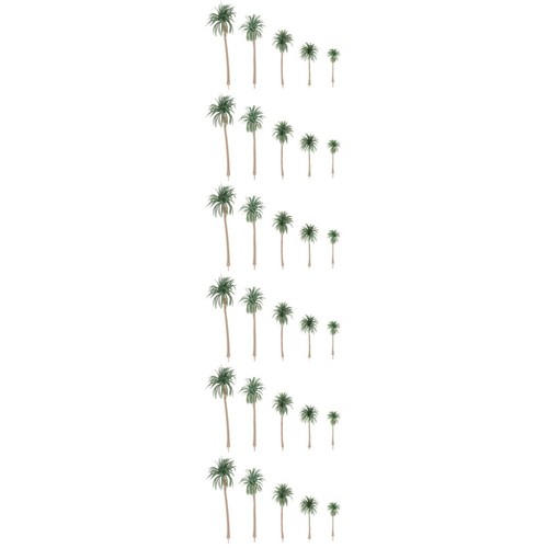 Confezione palme - ,