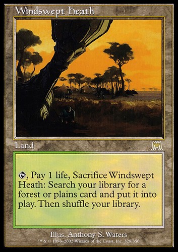 Mtg windswept heath italian - mtg,