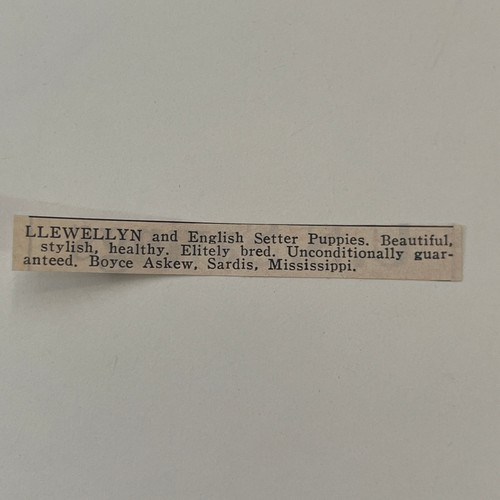 Pubblicità llewellyn - pubblicità,