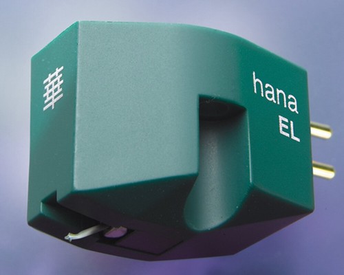 Hana testina mc - , bassa