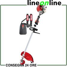 Decespugliatore a scoppio