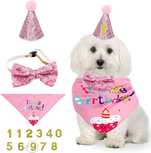 Pezzi cane compleanno - 4,