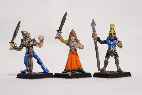 Citadel warhammer marauder - citadel,