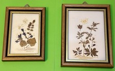 Herbario Quadro