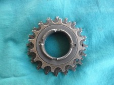 pignone Regina Gran sport- 3