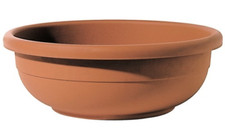 Vasi per piante - vaso, ciotola